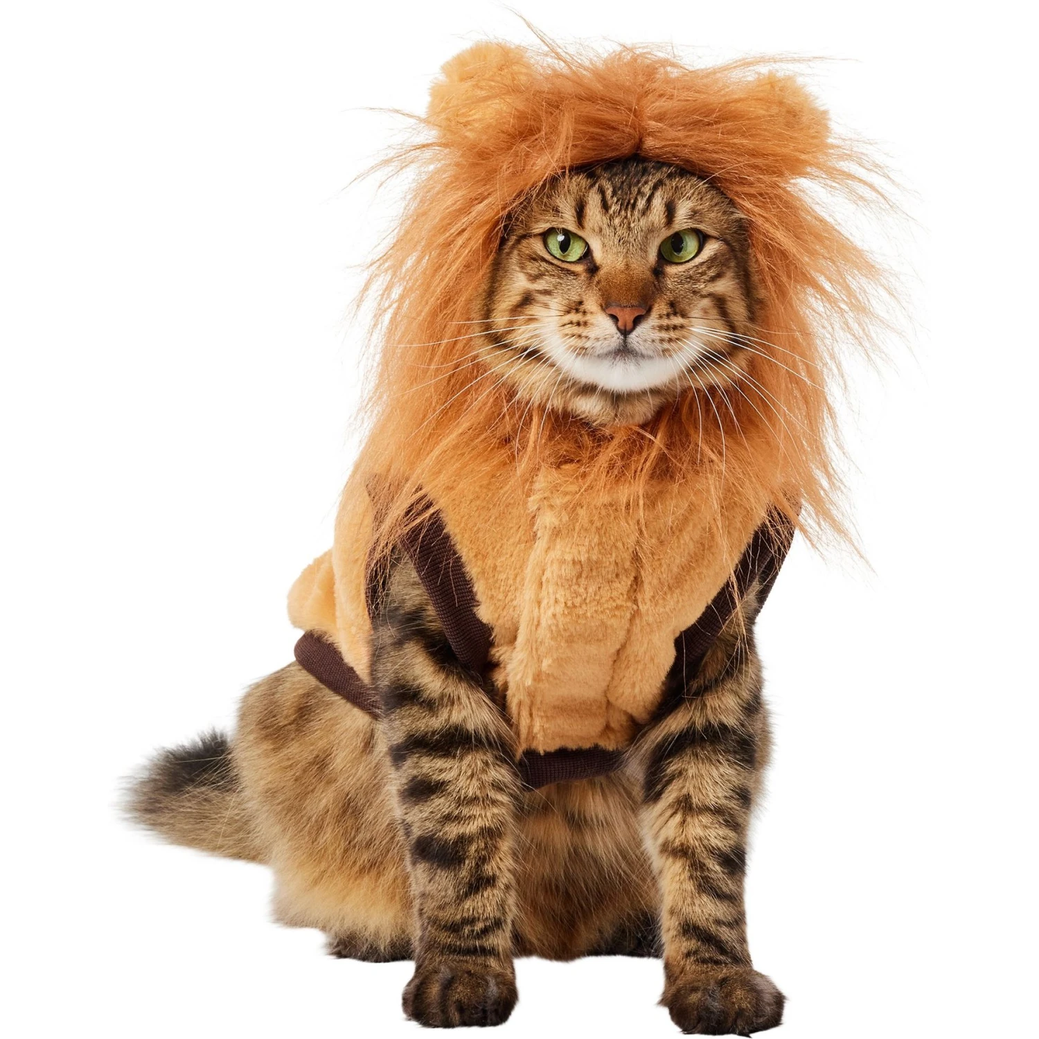 Frisco Lion Love Dog & Cat Costume 3 Frisco Lion Love Dog & Cat Costume - Image 3