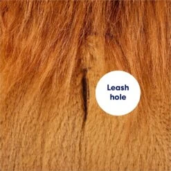 Frisco Lion Love Dog & Cat Costume 15 Frisco Lion Love Dog & Cat Costume -Pup Haven Sales Store 708318 PT6. AC SS1800 V1689351045