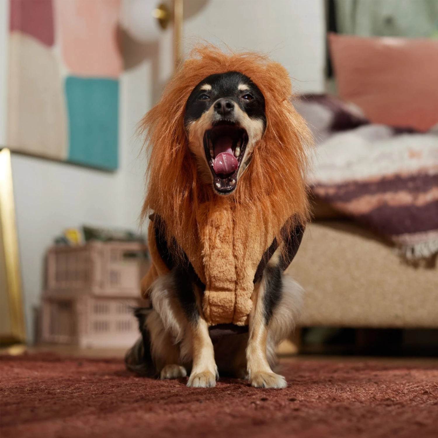 Frisco Lion Love Dog & Cat Costume 8 Frisco Lion Love Dog & Cat Costume - Image 8