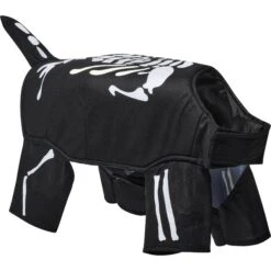 Frisco Glow In The Dark Skeleton Dog & Cat Costume -Pup Haven Sales Store 709038 PT3. AC SS1800 V1689351051