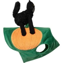 Frisco Pumpkin Cat Ride-On Dog & Cat Costume -Pup Haven Sales Store 709294 PT4. AC SS1800 V1689270836
