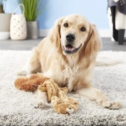 Ethical Pet Skinneeez Forest Series Squirrel Stuffing-Free Squeaky Plush Dog Toy -Pup Haven Sales Store 71344 PT7. AC SS1800 V1527093148