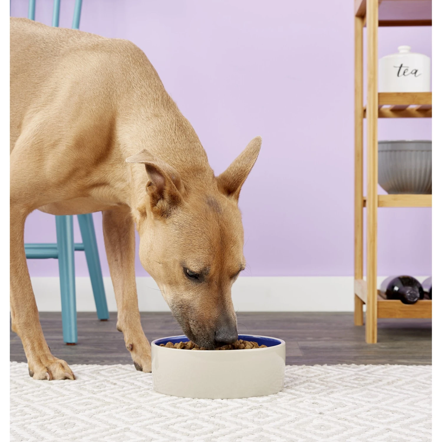 Ethical Pet Stoneware Crock Ceramic Dog & Cat Dish 2 Ethical Pet Stoneware Crock Ceramic Dog & Cat Dish - Image 2