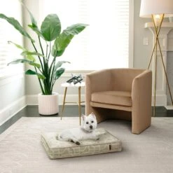 Pup Haven Sales Store -Pup Haven Sales Store 717110 PT1. AC SS1800 V1669667062