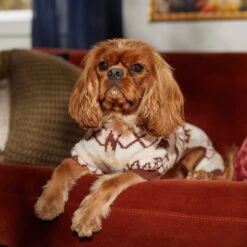 Frisco Fairisle Cozy Plush Fleece Dog & Cat PJs, Cream -Pup Haven Sales Store 719006 PT7. AC SS1800 V1692376367