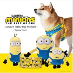 Fetch For Pets Minions Dave Rope Limb Pull Dog Toy -Pup Haven Sales Store 722230 PT6. AC SS1800 V1672180486