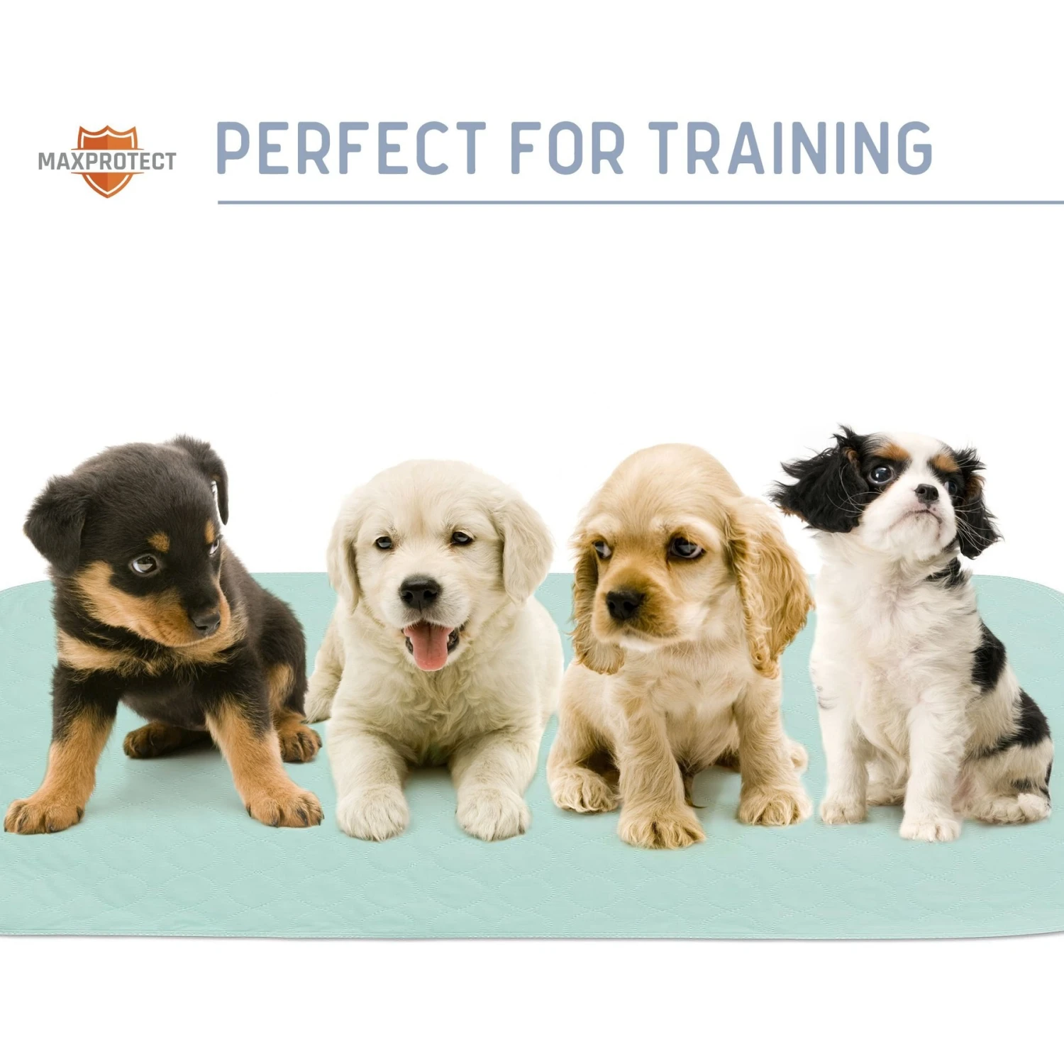 Chew + Heal Max Protect Pawformance Reusable Dog Pee Pads, 34x 36-in 8 Chew + Heal Max Protect Pawformance Reusable Dog Pee Pads, 34x 36-in - Image 8