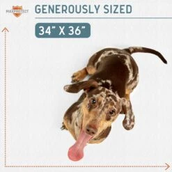 Chew + Heal Max Protect Reusable Dog Pee Pads -Pup Haven Sales Store 722814 PT4. AC SS1800 V1671035324