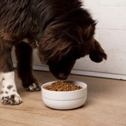 Waggo Cling Non-Skid Silicone Bottom Dog & Cat Bowl -Pup Haven Sales Store 731438 PT3. AC SS1800 V1698346581