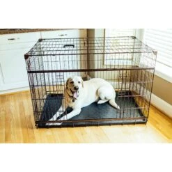 Lucky Dog DWELL Series Dog Crate