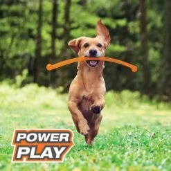 Nylabone Power Play Crazy Stick Dog Toy, Orange 11 Nylabone Power Play Crazy Stick Dog Toy, Orange -Pup Haven Sales Store 737966 PT2. AC SS1800 V1672929912