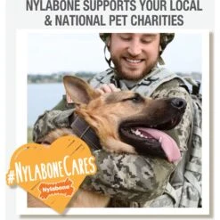 Nylabone Power Play Crazy Stick Dog Toy, Orange 14 Nylabone Power Play Crazy Stick Dog Toy, Orange -Pup Haven Sales Store 737966 PT5. AC SS1800 V1672930485