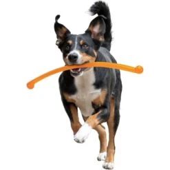Nylabone Power Play Crazy Stick Dog Toy, Orange 17 Nylabone Power Play Crazy Stick Dog Toy, Orange -Pup Haven Sales Store 737966 PT8. AC SS1800 V1672929859