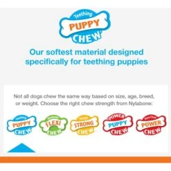 Nylabone Puppy Chew Stages Triple Pack Chewy Toys Puppy Stages Triple Pack 10 Nylabone Puppy Chew Stages Triple Pack Chewy Toys Puppy Stages Triple Pack -Pup Haven Sales Store 737998 PT2. AC SS1800 V1693418696