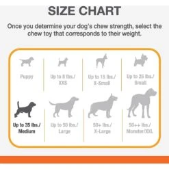 Nylabone Puppy Chew Stages Triple Pack Chewy Toys Puppy Stages Triple Pack 11 Nylabone Puppy Chew Stages Triple Pack Chewy Toys Puppy Stages Triple Pack -Pup Haven Sales Store 737998 PT3. AC SS1800 V1693419230