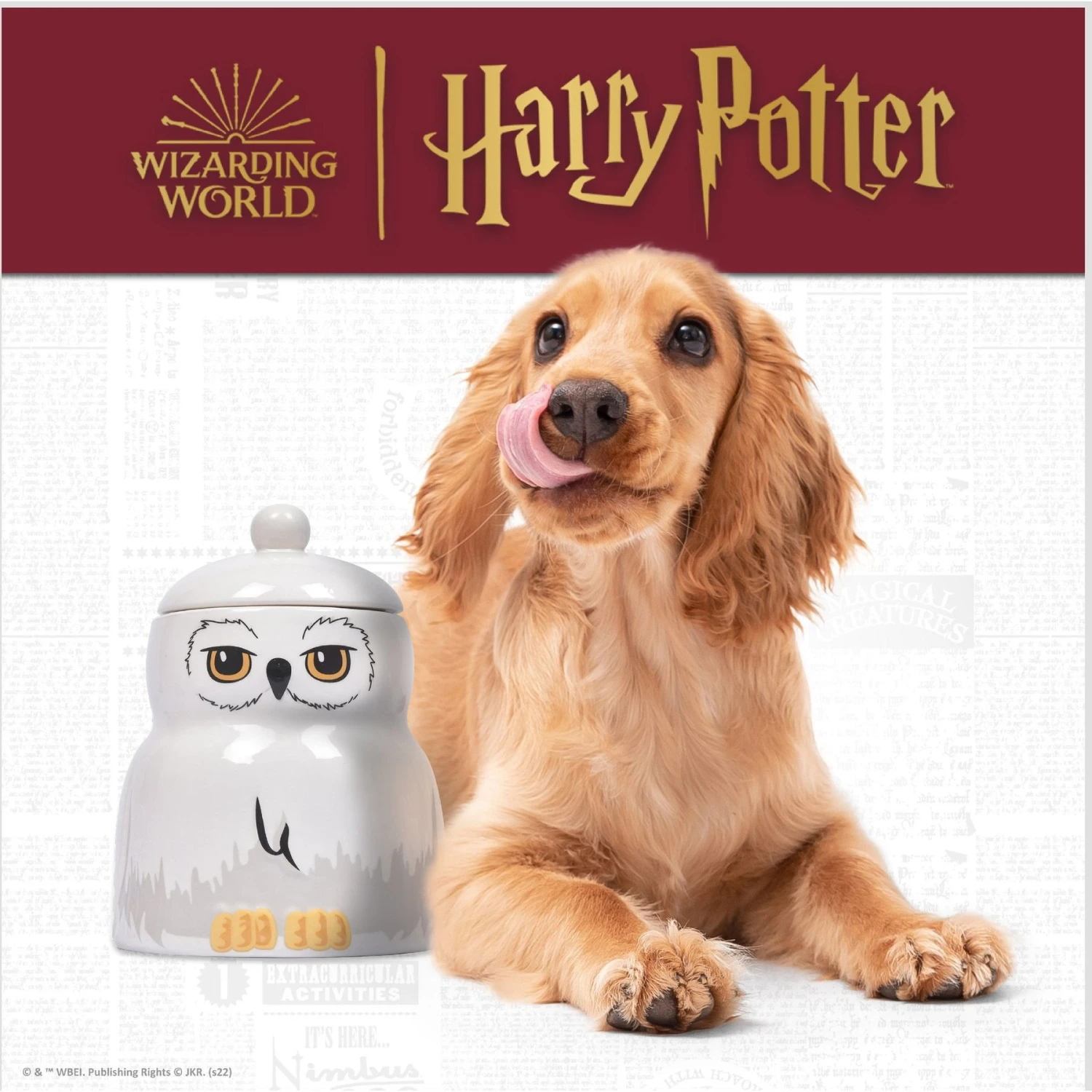 Fetch For Pets Harry Potter Hedwig Dog Treat Jar 2 Fetch For Pets Harry Potter Hedwig Dog Treat Jar - Image 2