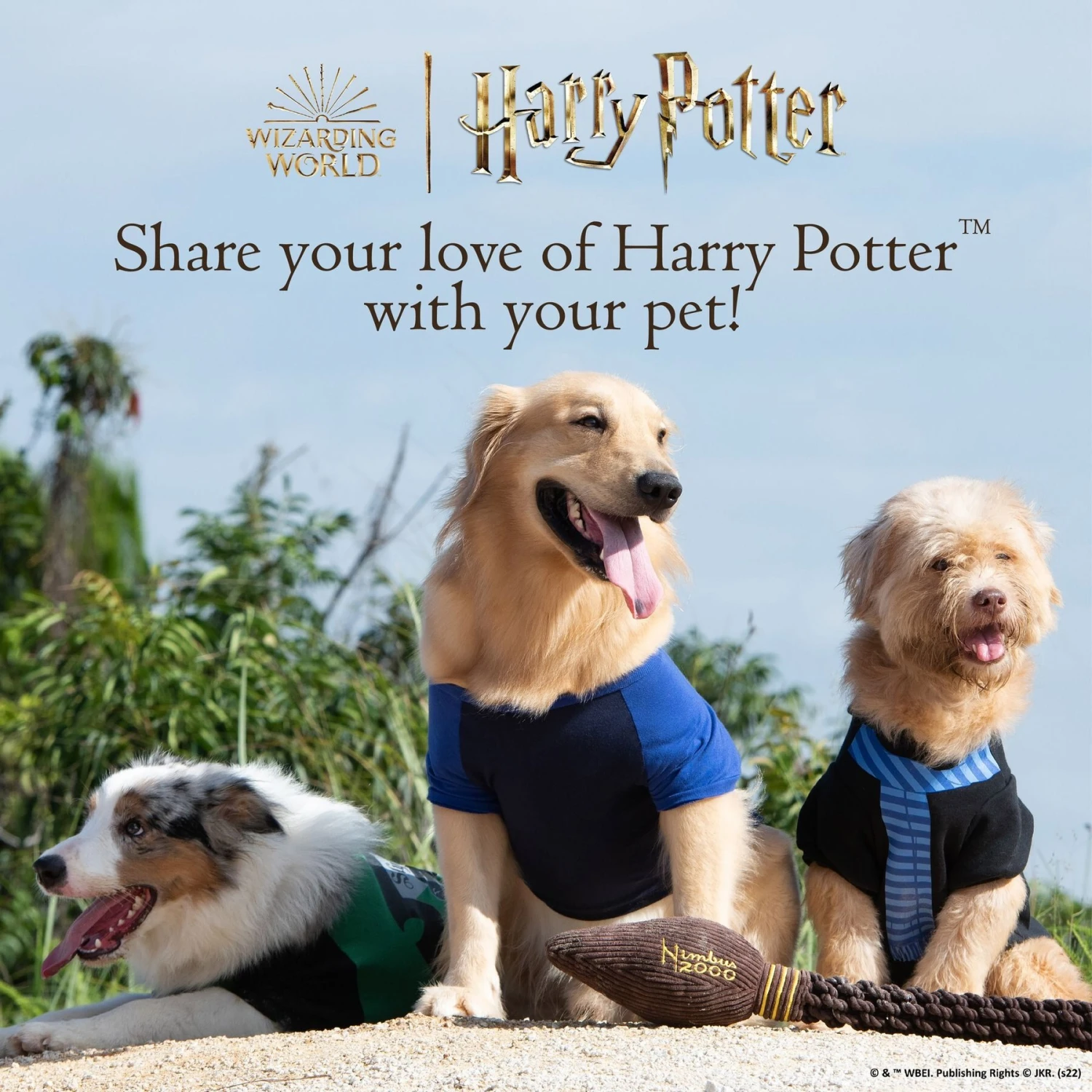 Fetch For Pets Harry Potter Hedwig Dog Treat Jar 7 Fetch For Pets Harry Potter Hedwig Dog Treat Jar - Image 7