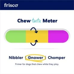 Frisco Holiday Fetch Squeaky Tennis Ball With Rubber Sleeve Dog Toy 8 Frisco Holiday Fetch Squeaky Tennis Ball With Rubber Sleeve Dog Toy -Pup Haven Sales Store 739686 PT7. AC SS1800 V1695047180
