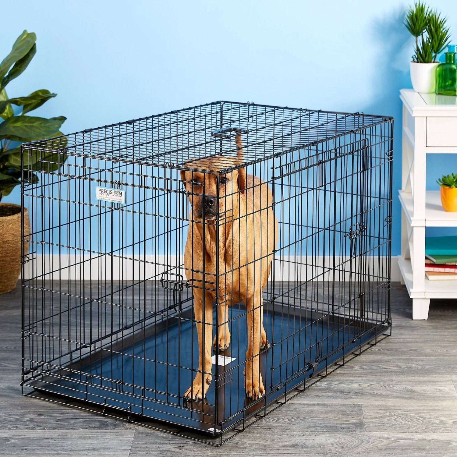 Precision Pet Products Provalu Double Door Collapsible Wire Dog Crate 1 Precision Pet Products Provalu Double Door Collapsible Wire Dog Crate