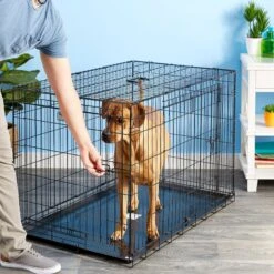 Precision Pet Products Provalu Double Door Collapsible Wire Dog Crate 10 Precision Pet Products Provalu Double Door Collapsible Wire Dog Crate -Pup Haven Sales Store 74070 PT7. AC SS1800 V1496757266