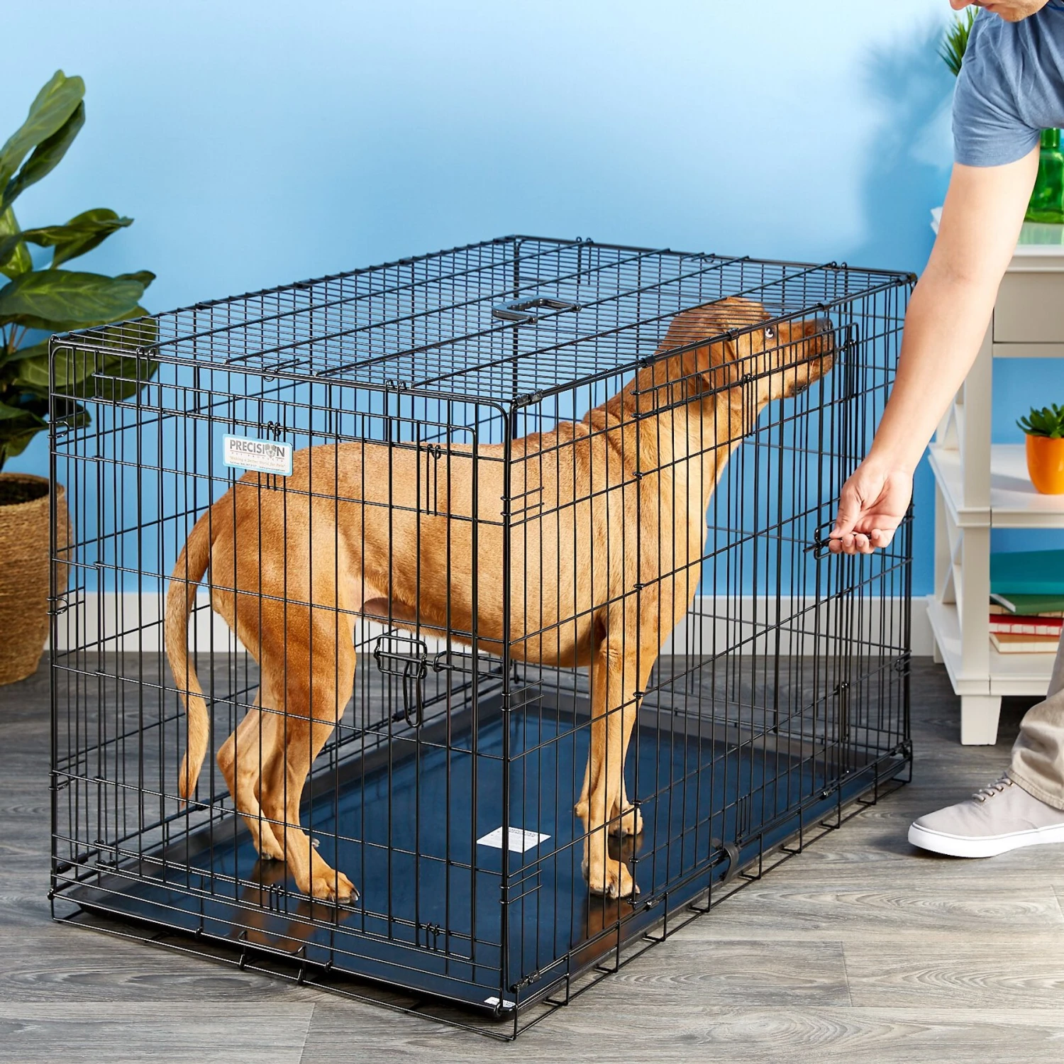 Precision Pet Products Provalu Double Door Collapsible Wire Dog Crate 6 Precision Pet Products Provalu Double Door Collapsible Wire Dog Crate - Image 6
