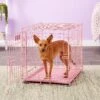 MidWest ICrate Single Door Collapsible Wire Dog Crate, Pink, 24 Inch