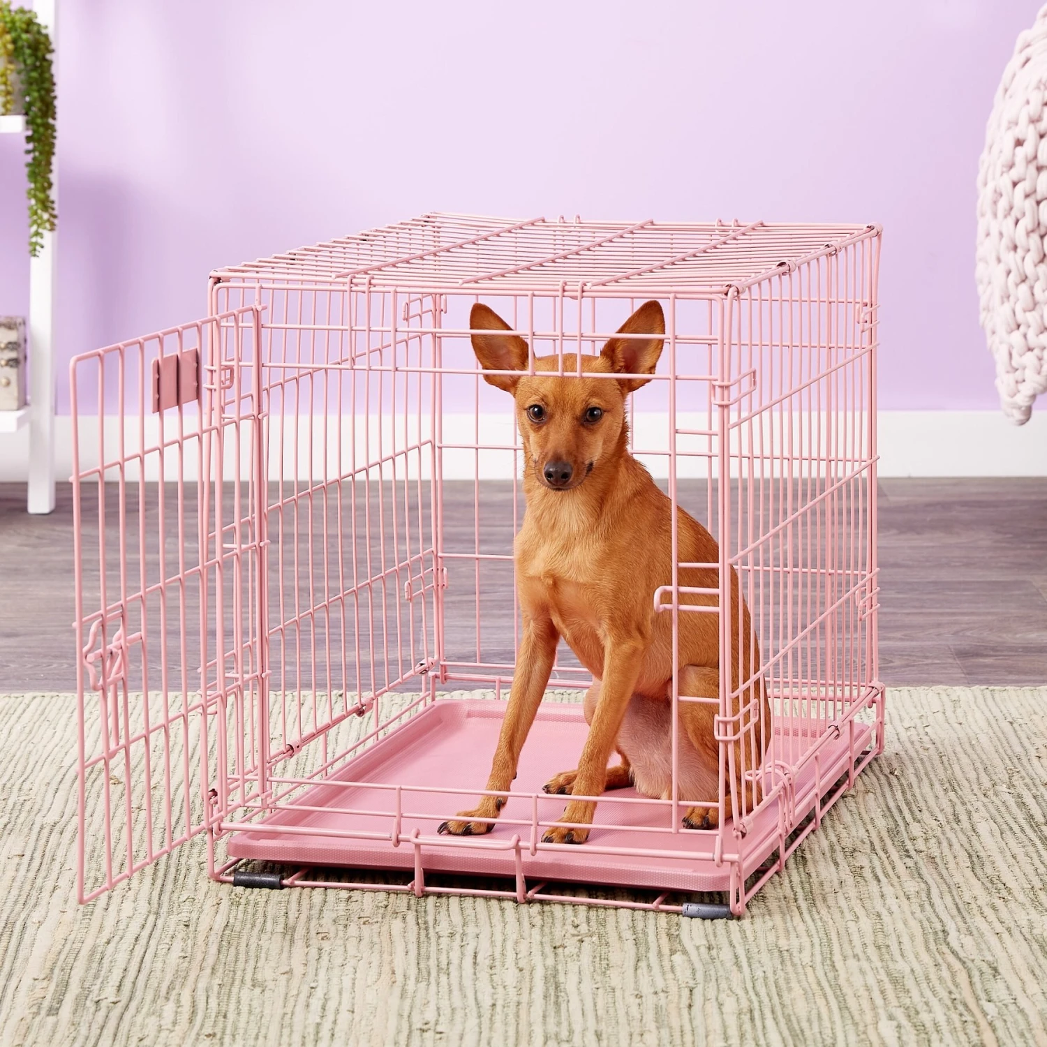 MidWest ICrate Single Door Collapsible Wire Dog Crate, Pink, 24 Inch 5 MidWest ICrate Single Door Collapsible Wire Dog Crate, Pink, 24 Inch - Image 5