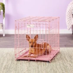 MidWest ICrate Single Door Collapsible Wire Dog Crate, Pink, 24 Inch 14 MidWest ICrate Single Door Collapsible Wire Dog Crate, Pink, 24 Inch -Pup Haven Sales Store 74290 PT5. AC SS1800 V1562173055