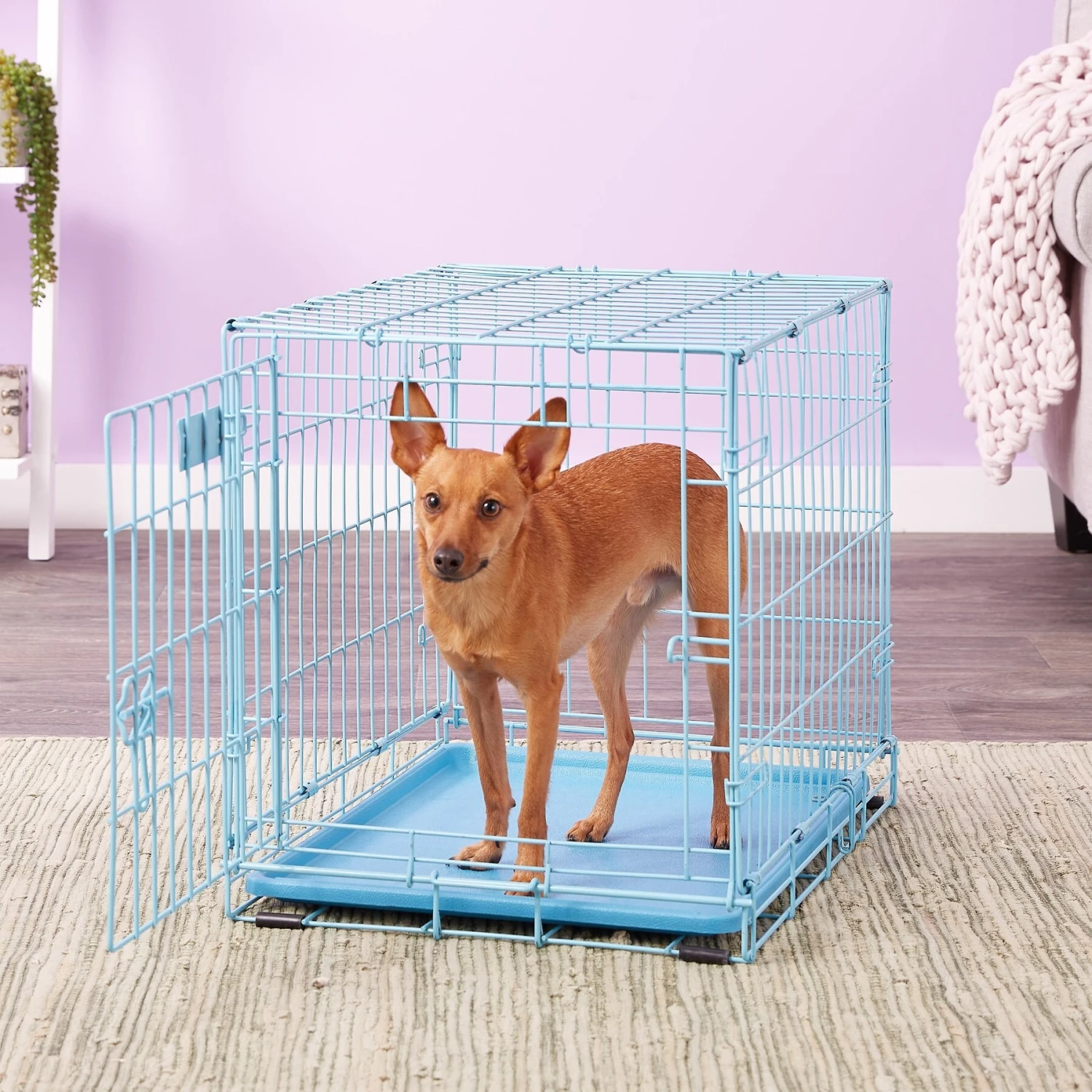 MidWest ICrate Single Door Collapsible Wire Dog Crate, Blue 1 MidWest ICrate Single Door Collapsible Wire Dog Crate, Blue