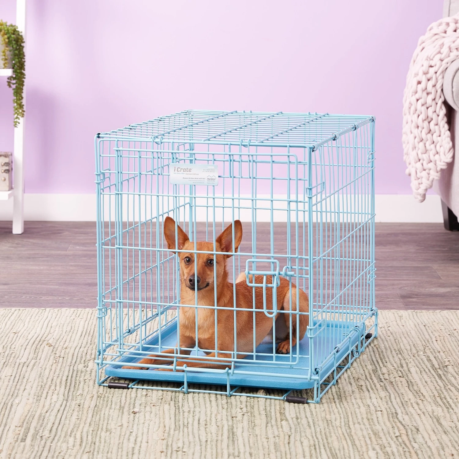 MidWest ICrate Single Door Collapsible Wire Dog Crate, Blue 6 MidWest ICrate Single Door Collapsible Wire Dog Crate, Blue - Image 6