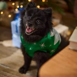 Frisco Ornament Dog & Cat Costume -Pup Haven Sales Store 745510 PT7. AC SS1800 V1694795535