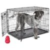 MidWest ICrate Fold & Carry Double Door Collapsible Wire Dog Crate & KONG Classic Dog Toy