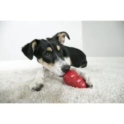 MidWest ICrate Fold & Carry Double Door Collapsible Wire Dog Crate & KONG Classic Dog Toy -Pup Haven Sales Store 752366 PT8. AC SS1800 V1672928527