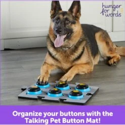 Hunger For Words Talking Pet Button Mat Dog Toy & Hunger For Words Talking Pet Starter Set Dog Toy 17 Hunger For Words Talking Pet Button Mat Dog Toy & Hunger For Words Talking Pet Starter Set Dog Toy -Pup Haven Sales Store 757726 PT8. AC SS1800 V1674051110