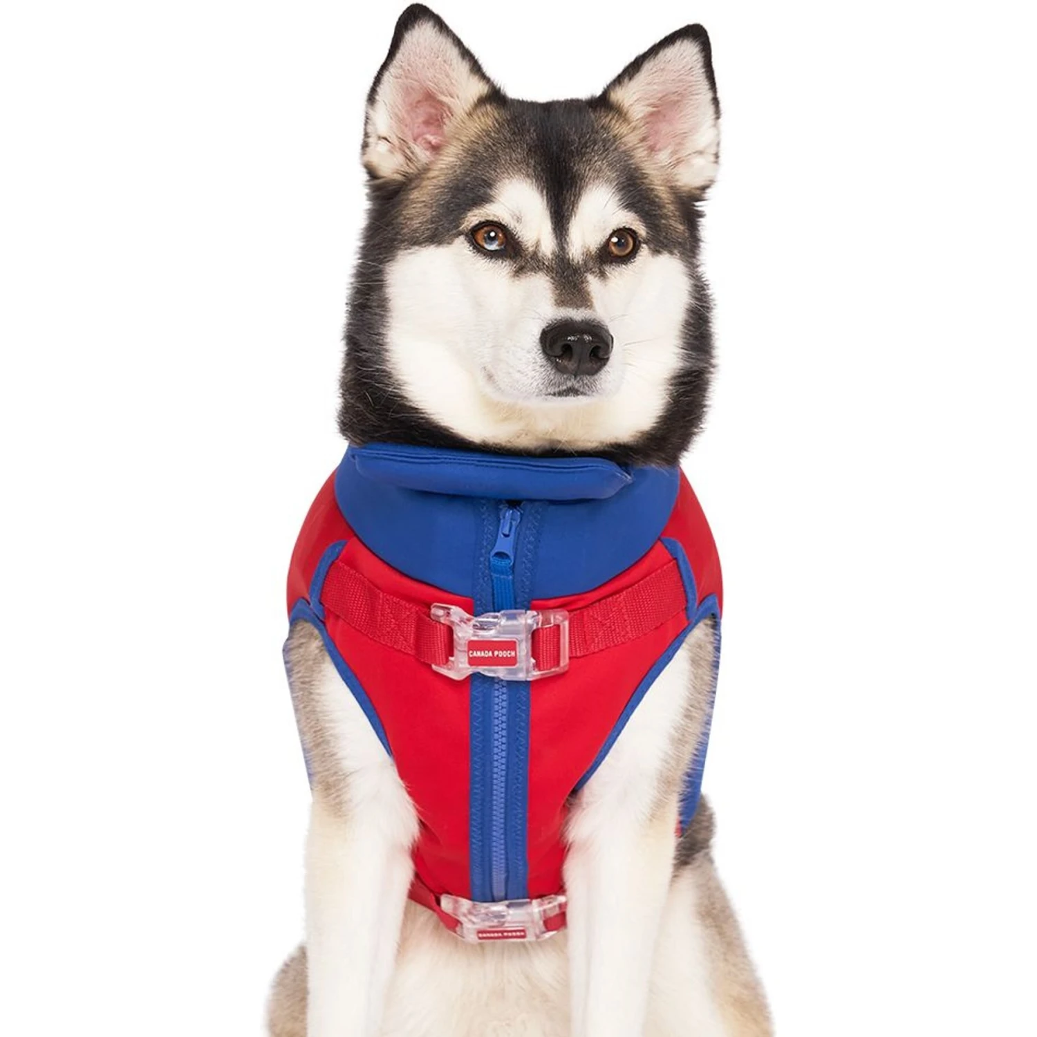 Canada Pooch High Tide Life Dog Jacket 2 Canada Pooch High Tide Life Dog Jacket - Image 2