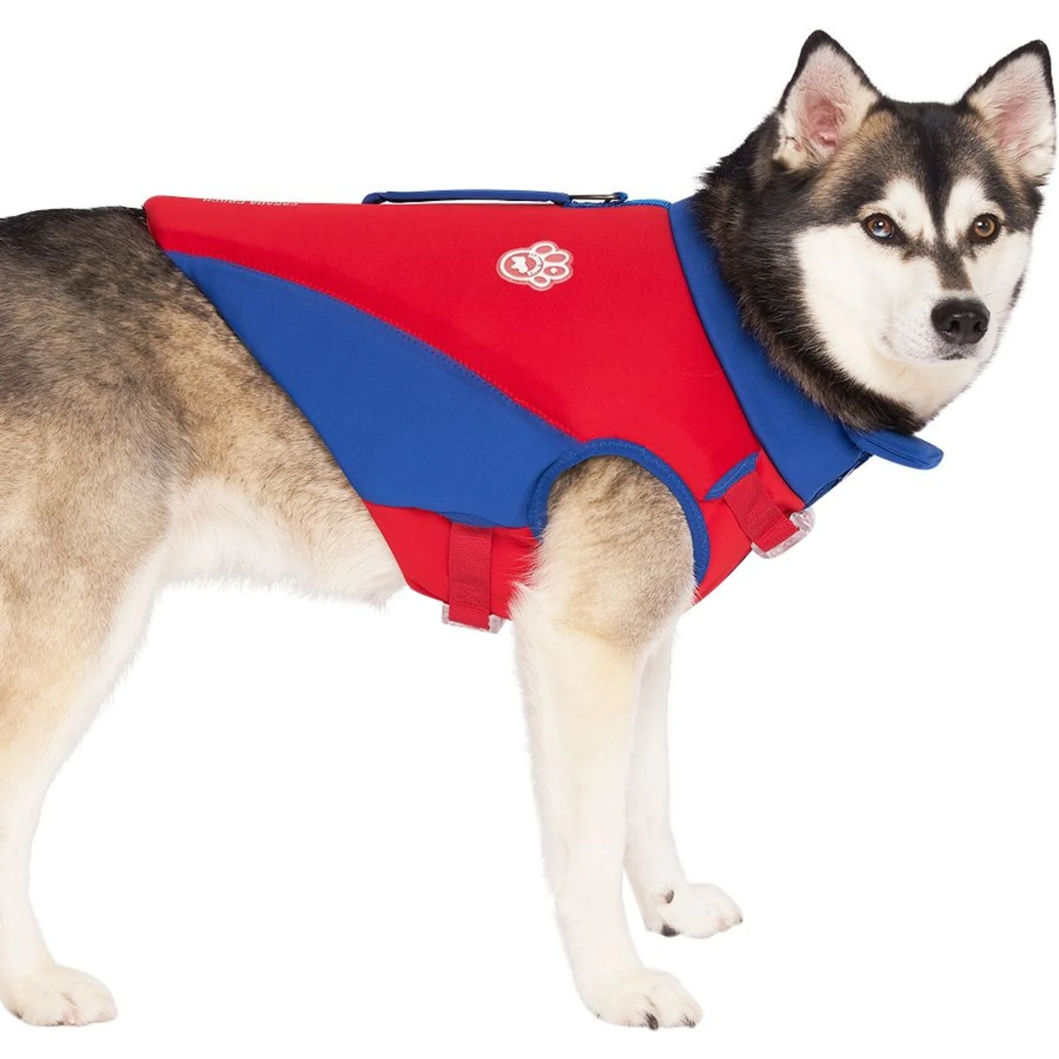 Canada Pooch High Tide Life Dog Jacket 3 Canada Pooch High Tide Life Dog Jacket - Image 3