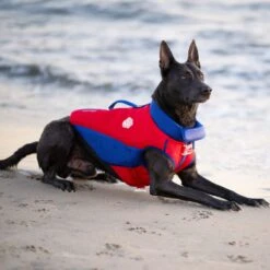 Canada Pooch High Tide Life Dog Jacket 9 Canada Pooch High Tide Life Dog Jacket -Pup Haven Sales Store 758830 PT4. AC SS1800 V1677535862