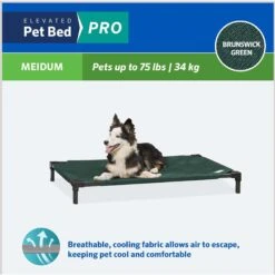 Coolaroo Pro Replacement Cover Elevated Dog & Cat Bed -Pup Haven Sales Store 763022 PT3. AC SS1800 V1674768928
