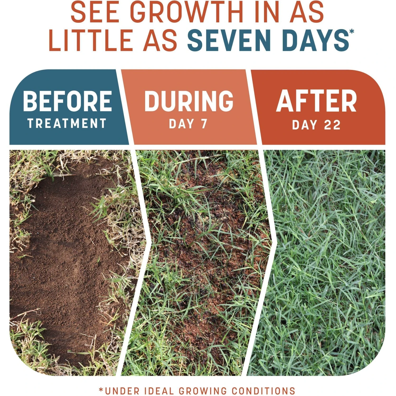 Pennington Smart Patch Bermudagrass Mix Dog Lawn-Treatment & Grass Saver 3 Pennington Smart Patch Bermudagrass Mix Dog Lawn-Treatment & Grass Saver - Image 3