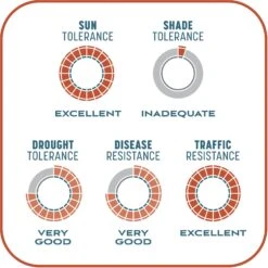 Pennington Smart Patch Bermudagrass Mix Dog Lawn-Treatment & Grass Saver 17 Pennington Smart Patch Bermudagrass Mix Dog Lawn-Treatment & Grass Saver -Pup Haven Sales Store 763358 PT8. AC SS1800 V1674769356