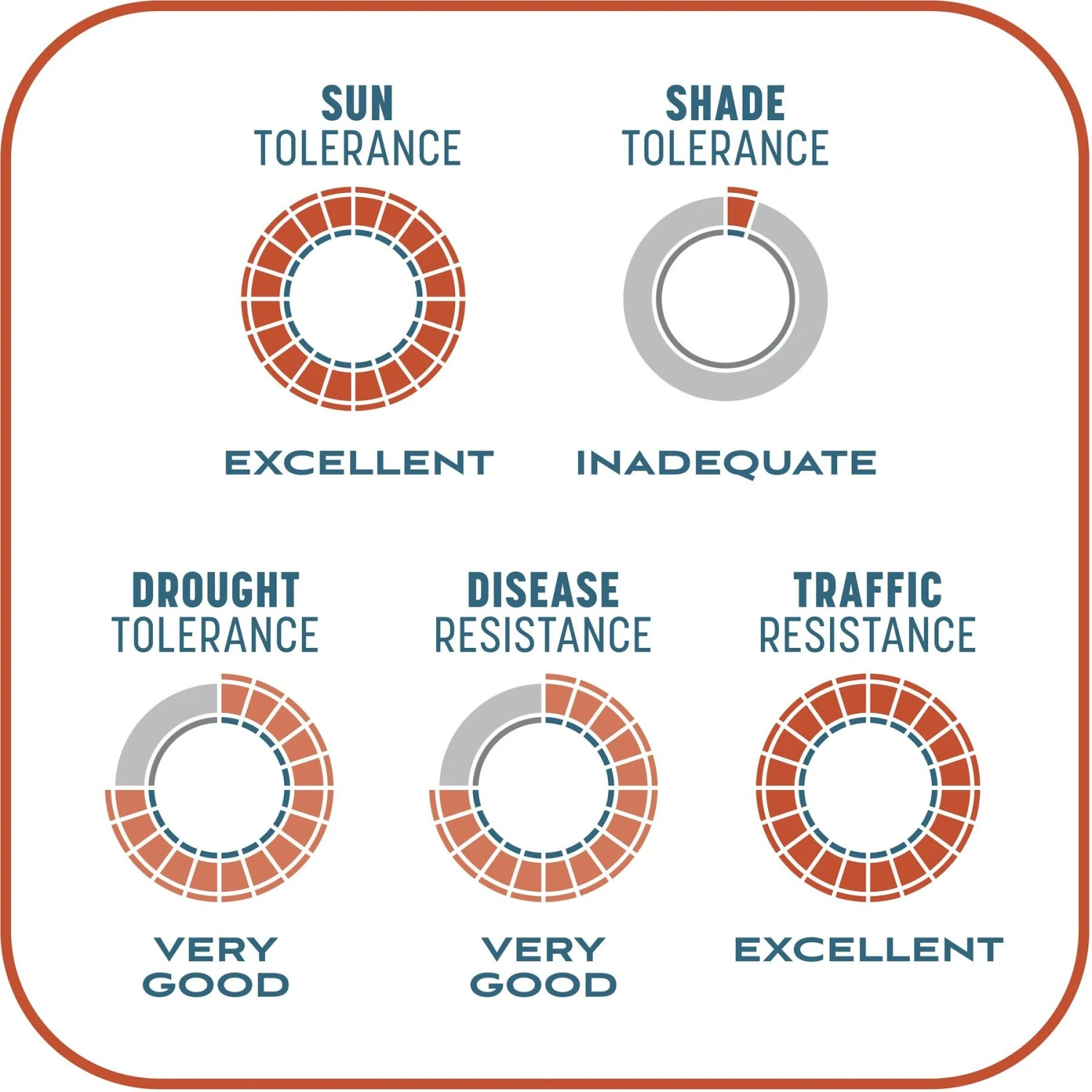 Pennington Smart Patch Bermudagrass Mix Dog Lawn-Treatment & Grass Saver 9 Pennington Smart Patch Bermudagrass Mix Dog Lawn-Treatment & Grass Saver - Image 9