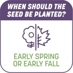 Pennington Smart Patch Dense Shade Mix Dog Lawn-Treatment & Grass Saver -Pup Haven Sales Store 763382 PT7. AC SS1800 V1674769409