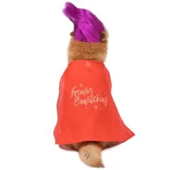 Disney Hocus Pocus Halloween Mary Sanderson Cape & Pet Wig Dog Costume With PVC Bag & Insert Card 8 Disney Hocus Pocus Halloween Mary Sanderson Cape & Pet Wig Dog Costume With PVC Bag & Insert Card -Pup Haven Sales Store 763478 PT2. AC SS1800 V1686850817
