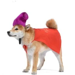 Disney Hocus Pocus Halloween Mary Sanderson Cape & Pet Wig Dog Costume With PVC Bag & Insert Card 9 Disney Hocus Pocus Halloween Mary Sanderson Cape & Pet Wig Dog Costume With PVC Bag & Insert Card -Pup Haven Sales Store 763478 PT3. AC SS1800 V1686849979