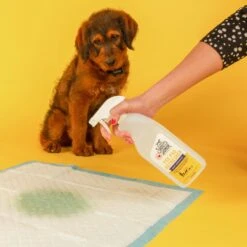 Skout's Honor Dog Pee Pad Refresher Spray, 28-oz Bottle & Four Paws Wee-Wee Superior Performance Dog Pee Pads 13 Skout's Honor Dog Pee Pad Refresher Spray, 28-oz Bottle & Four Paws Wee-Wee Superior Performance Dog Pee Pads -Pup Haven Sales Store 772974 PT4. AC SS1800 V1676750333