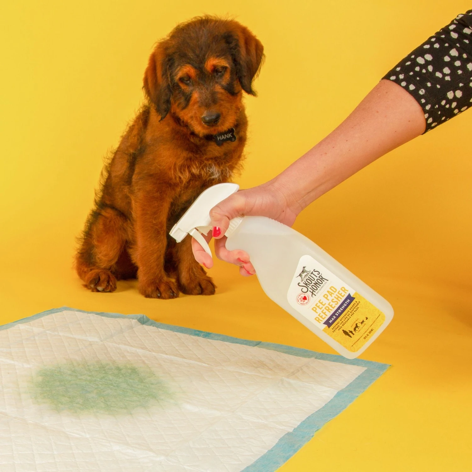 Skout's Honor Dog Pee Pad Refresher Spray, 28-oz Bottle & Four Paws Wee-Wee Superior Performance Dog Pee Pads 5 Skout's Honor Dog Pee Pad Refresher Spray, 28-oz Bottle & Four Paws Wee-Wee Superior Performance Dog Pee Pads - Image 5