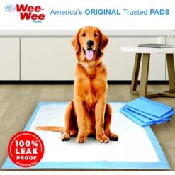 Skout's Honor Dog Pee Pad Refresher Spray, 28-oz Bottle & Four Paws Wee-Wee Superior Performance Dog Pee Pads 17 Skout's Honor Dog Pee Pad Refresher Spray, 28-oz Bottle & Four Paws Wee-Wee Superior Performance Dog Pee Pads -Pup Haven Sales Store 772974 PT8. AC SS1800 V1676749878