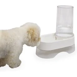 Richell Elevated Gravity Water Dispenser Dog & Cat Bowl 11 Richell Elevated Gravity Water Dispenser Dog & Cat Bowl -Pup Haven Sales Store 778286 PT3. AC SS1800 V1677103202