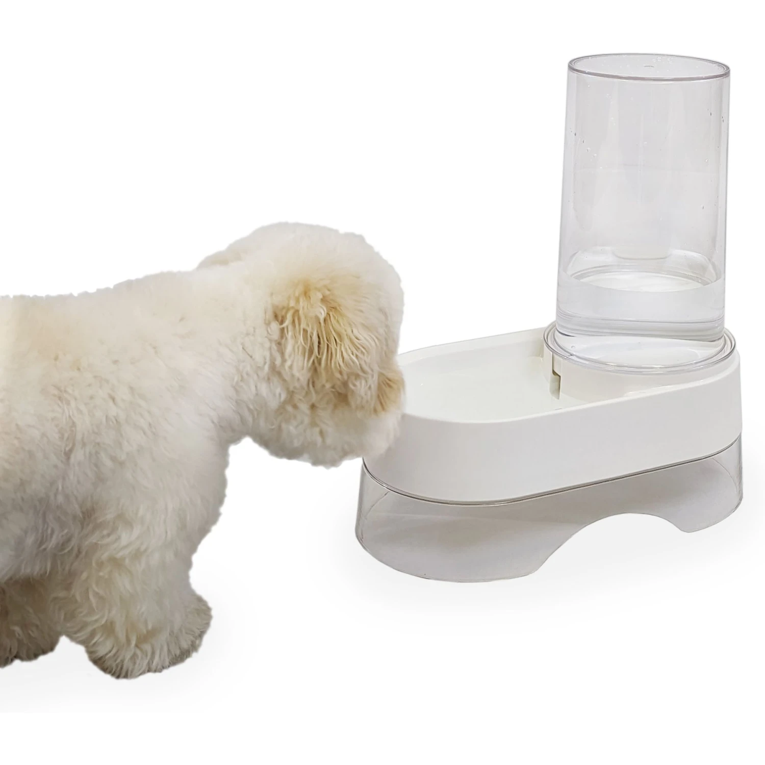 Richell Elevated Gravity Water Dispenser Dog & Cat Bowl 4 Richell Elevated Gravity Water Dispenser Dog & Cat Bowl - Image 4
