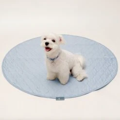 Paw Inspired Round Washable Dog Pee Pads, 2 Count 10 Paw Inspired Round Washable Dog Pee Pads, 2 Count -Pup Haven Sales Store 782390 PT4. AC SS1800 V1682514648
